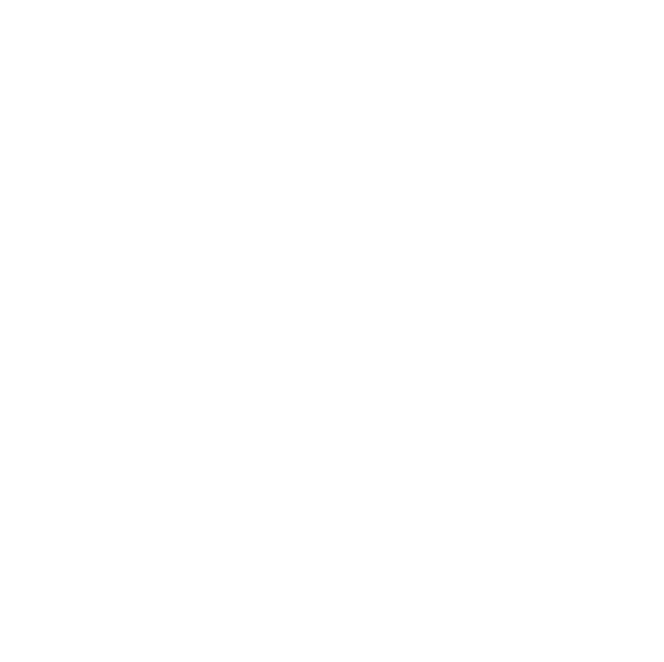 Lion BBQ Direct Lion BBQ Direct