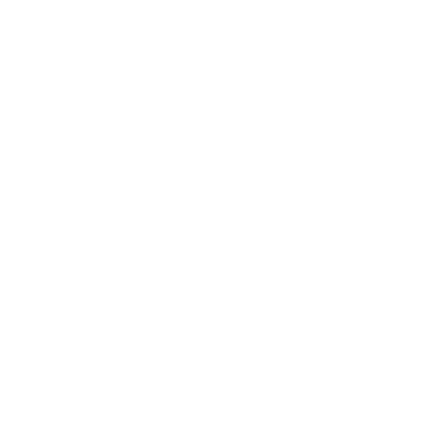 Lion BBQ Direct Lion BBQ Direct