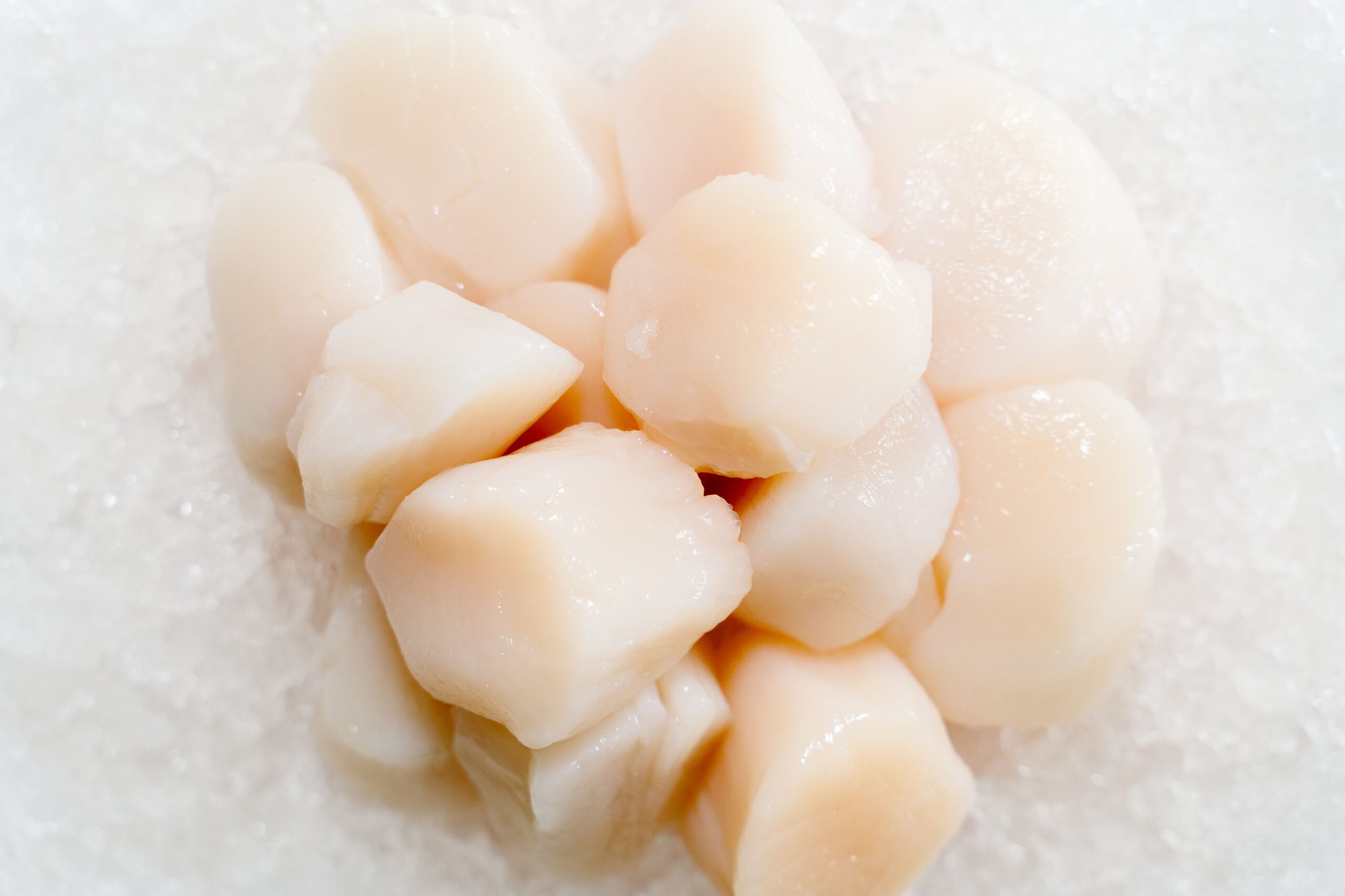 Fresh raw dry-packed sea scallops ready for searing on a Lion gas grill