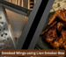 Smoked chicken wings on a gas grill using the Lion smoker box: crispy wings plated alongside the included Lion stainless steel smoker box